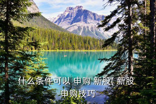 申購滬a新股 滬的市值要達到多少