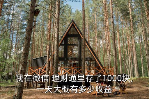 我在微信 理財(cái)通里存了1000塊,一天大概有多少收益