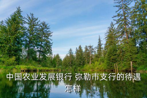中國農(nóng)業(yè)發(fā)展銀行 彌勒市支行的待遇怎樣