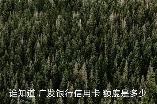 誰(shuí)知道 廣發(fā)銀行信用卡 額度是多少