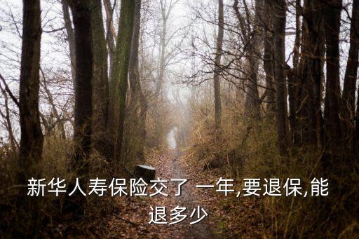 新華人壽保險(xiǎn)交了 一年,要退保,能退多少