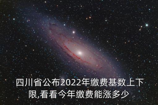  四川省公布2022年繳費(fèi)基數(shù)上下限,看看今年繳費(fèi)能漲多少