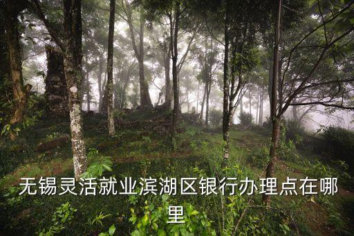 無錫靈活就業(yè)濱湖區(qū)銀行辦理點(diǎn)在哪里