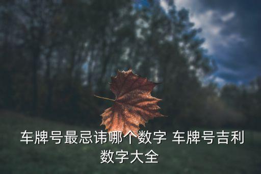 宜信的開頭車牌是多少