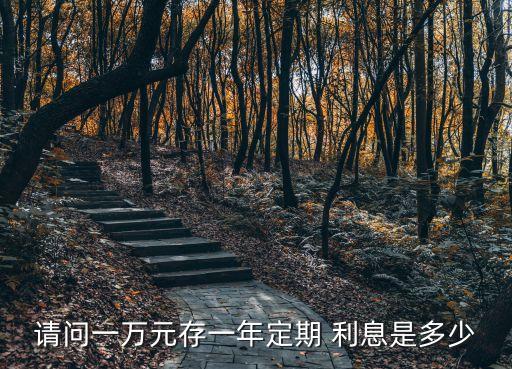 1萬(wàn)放出去多少利息