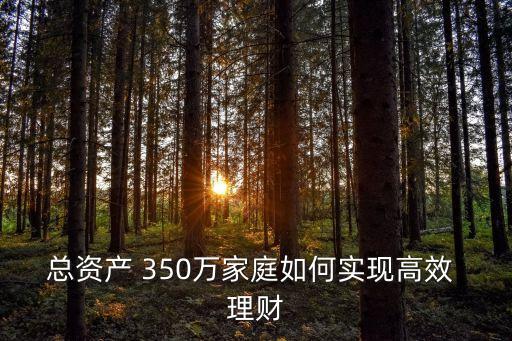 總資產(chǎn) 350萬家庭如何實(shí)現(xiàn)高效 理財(cái)