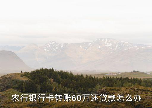 農(nóng)行車貸寶手續(xù)費多少,6萬車貸一般手續(xù)費多少