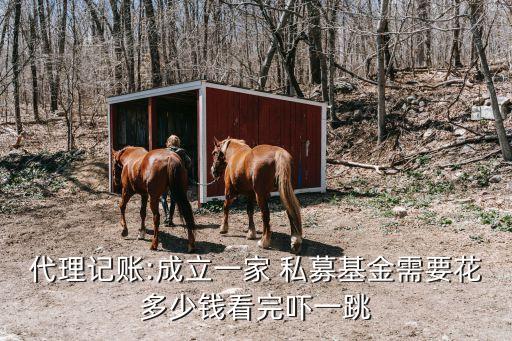 代理記賬:成立一家 私募基金需要花多少錢(qián)看完嚇一跳