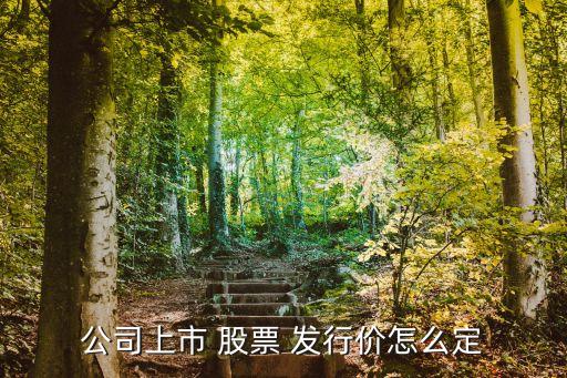 公司上市 股票 發(fā)行價怎么定