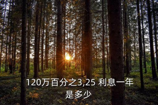 120萬一年多少利息