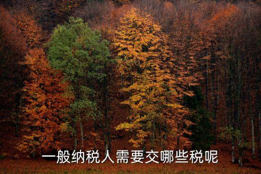 一般納稅人需要交哪些稅呢