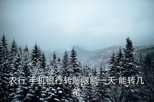 農(nóng)行 手機銀行轉(zhuǎn)賬限額一天 能轉(zhuǎn)幾筆