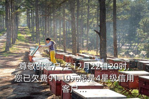 手機卡四星可以透支多少