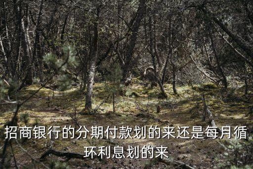 招商銀行的分期付款劃的來(lái)還是每月循環(huán)利息劃的來(lái)
