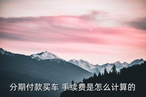 車貸10萬手續(xù)費多少,6萬車貸一般手續(xù)費多少