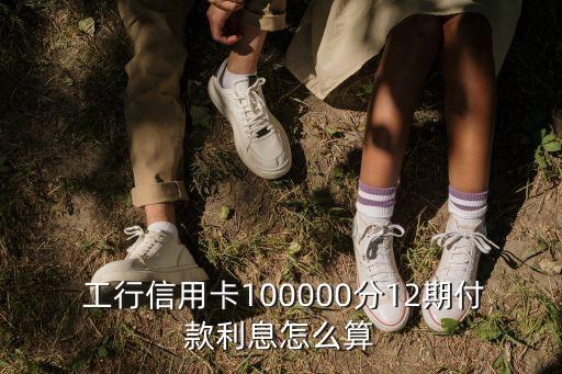  工行信用卡100000分12期付款利息怎么算