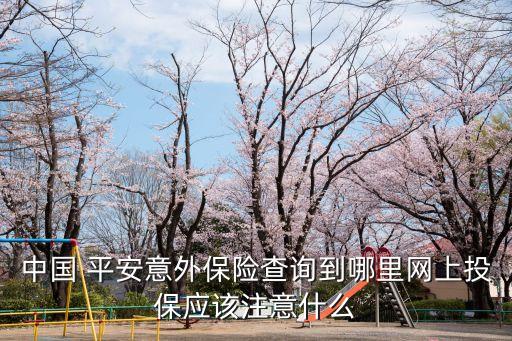 中國(guó) 平安意外保險(xiǎn)查詢到哪里網(wǎng)上投保應(yīng)該注意什么