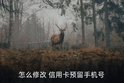 信用卡短信提醒改號(hào)碼是多少錢,怎么改信用卡短信通知的號(hào)碼