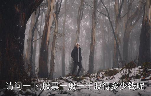 買(mǎi)1000股手續(xù)費(fèi)是多少,1000股賣(mài)出的手續(xù)費(fèi)