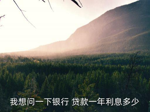 我想問一下銀行 貸款一年利息多少