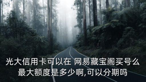網(wǎng)易寶最大支付是多少