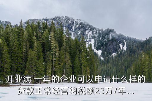 開業(yè)滿 一年的企業(yè)可以申請什么樣的貸款正常經(jīng)營納稅額23萬/年...