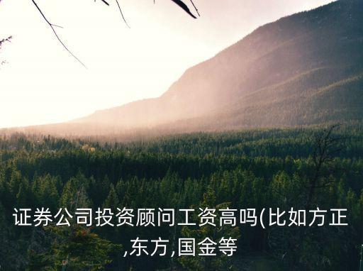 投資人的月薪是多少錢,投資顧問月薪多少