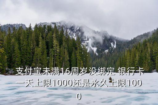  支付寶未滿16周歲沒綁定 銀行卡一天上限1000還是永久上限1000