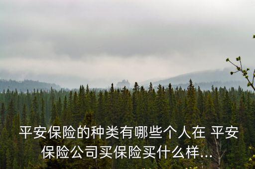 平安保險多少種類,兒童平安保險種類及價格表