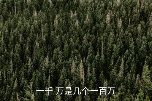 一千 萬是幾個(gè)一百萬