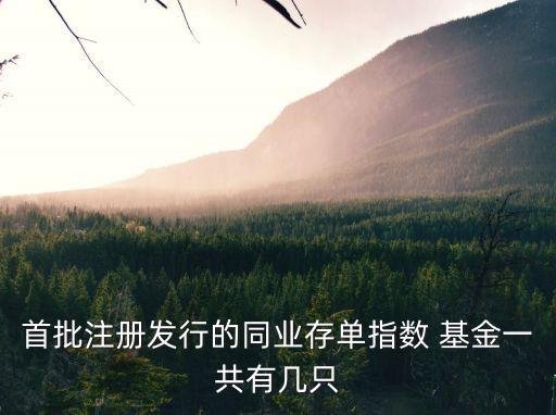 封閉式基金有多少,兩年封閉式基金一般收益有多少