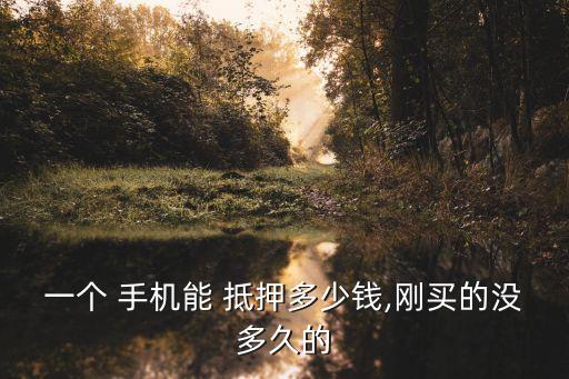 一個 手機能 抵押多少錢,剛買的沒多久的