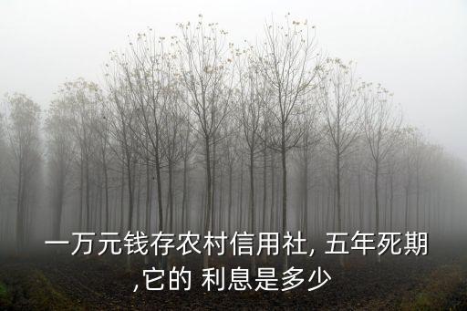  一萬元錢存農(nóng)村信用社, 五年死期,它的 利息是多少