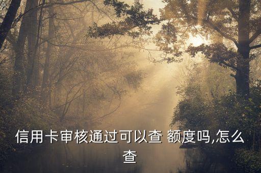 信用卡審核通過可以查 額度嗎,怎么查