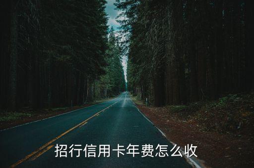 招行信用卡年費(fèi)怎么收