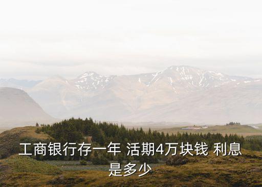4000萬活期存款年利息是多少,活期存款1萬一天利息