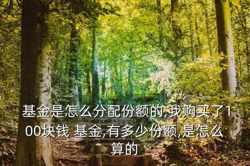 基金大數(shù)據(jù)100凈值是多少,每日基金凈值數(shù)據(jù)快速查詢