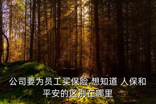 公司要為員工買保險,想知道 人保和平安的區(qū)別在哪里