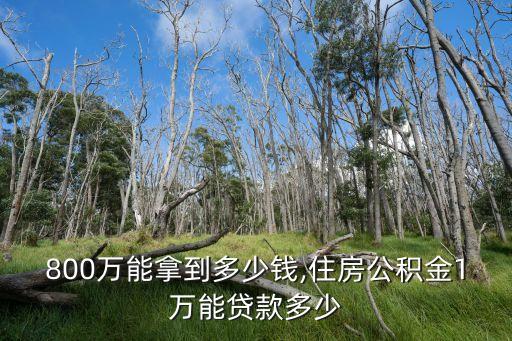 800萬(wàn)能拿到多少錢,住房公積金1萬(wàn)能貸款多少