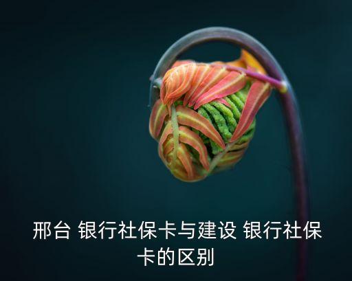 邢臺銀行年費多少錢,銀行儲蓄卡年費多少錢