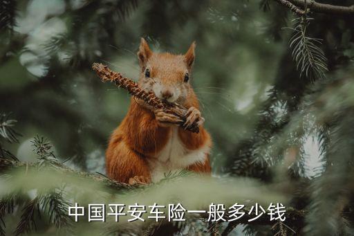 車平安保險(xiǎn)保30多少錢,平安保險(xiǎn)車家保有必要買嗎