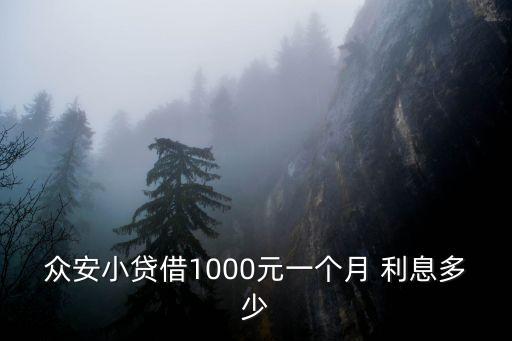眾安小貸借1000元一個(gè)月 利息多少