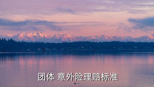  團(tuán)體 意外險(xiǎn)理賠標(biāo)準(zhǔn)
