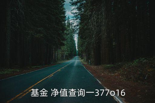  基金 凈值查詢一377o16