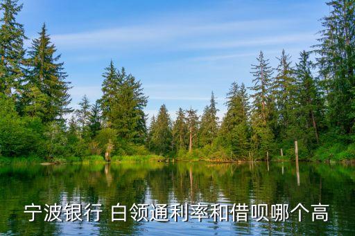 白領(lǐng)通貸款利息是多少錢