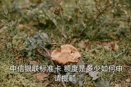 中信聯(lián)名普卡額度多少錢,中信普卡7000額度升級白金卡