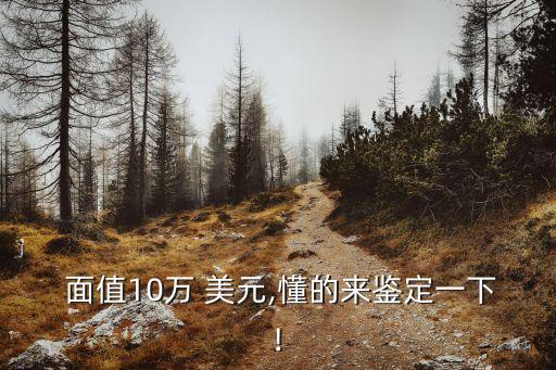 最大的美元面值是多少錢,美元一張最大面值是多少?