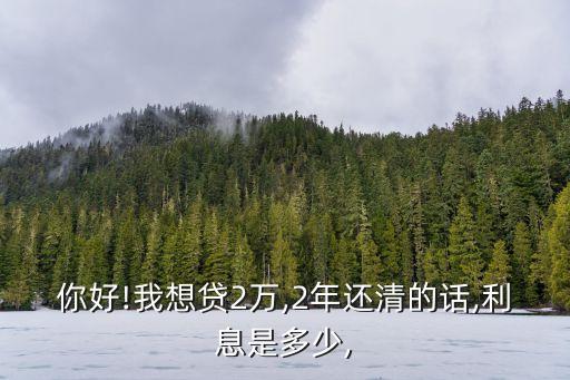 你好!我想貸2萬(wàn),2年還清的話,利息是多少,