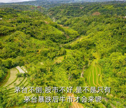 茅臺跌多少止跌,2008年茅臺跌了多少