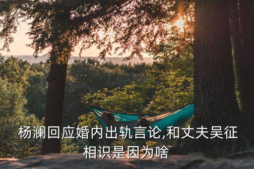  楊瀾回應(yīng)婚內(nèi)出軌言論,和丈夫吳征相識是因為啥